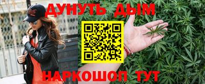 гидропоника Пенза
